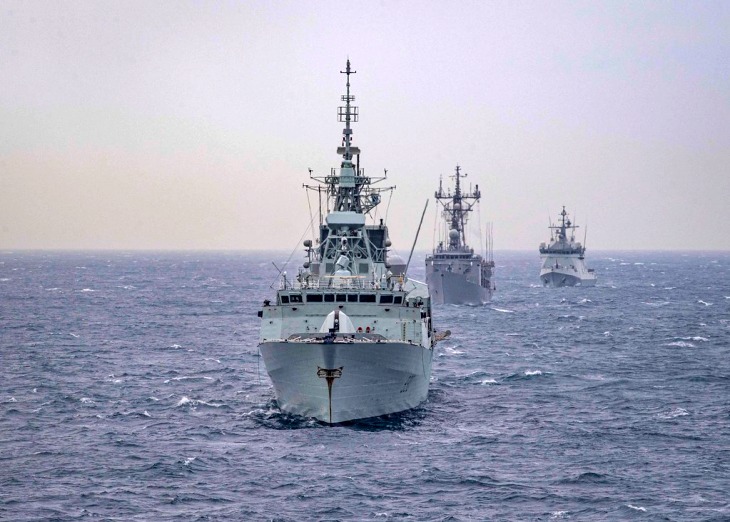 Las maniobras militares navales ponen en riesgo la vida de cetáceos