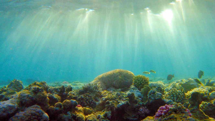 Parece que las administraciones estan recuperando la calidad del agua