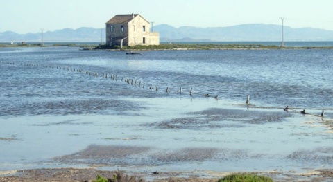 Murcia está en peligro por la llegada de nitratos a la laguna