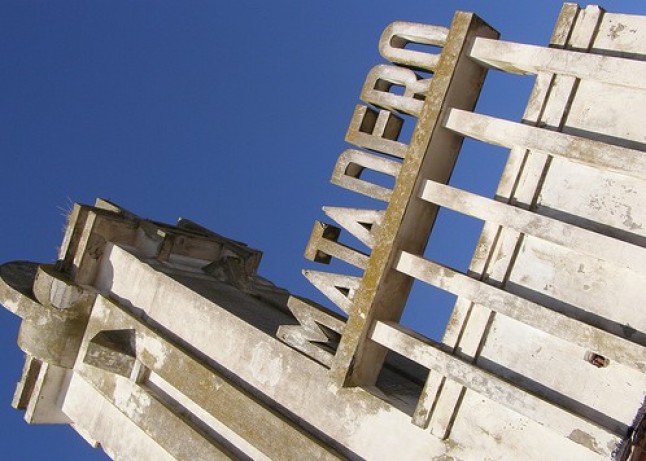 Retos europeos en el bienestar animal