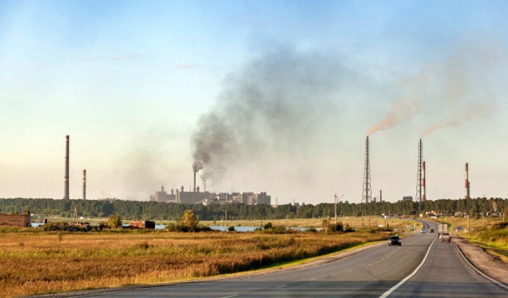 La contaminación te puede dejar sin un pelo en la cabeza