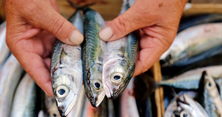 Mercurio al ‘pil-pil’