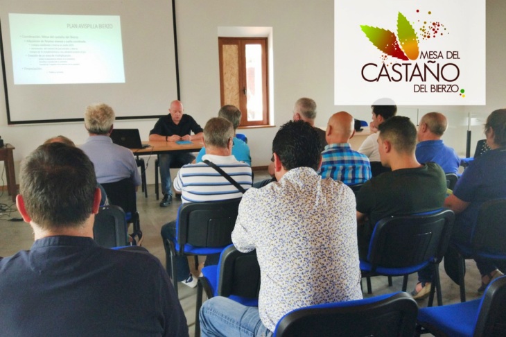 Conclusiones Mesa del Castaño del Bierzo