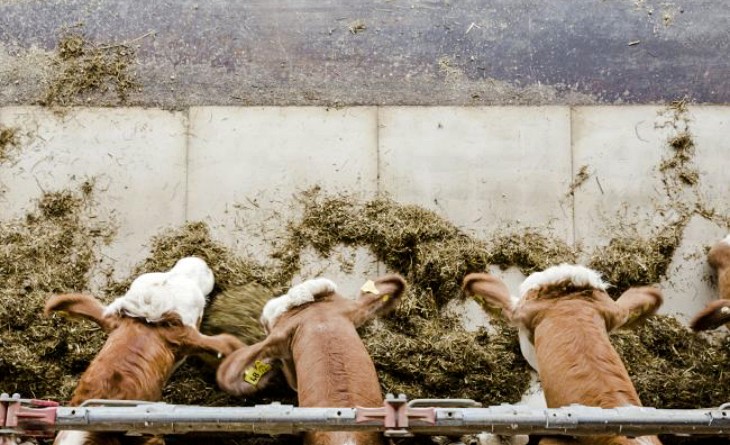 El metano dispara la emergencia climática