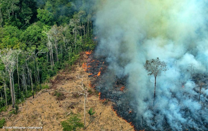 2019 pasará a la historia como el año de la ‘revolución climática’