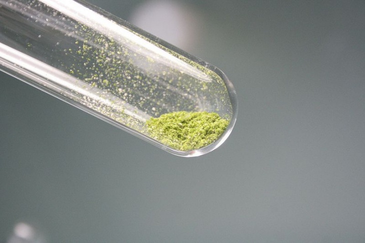 Consiguen generar biogas a través de microalgas