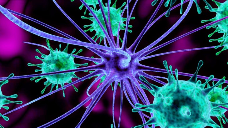 Por qué los microorganismos son cruciales para combatir la crisis climática