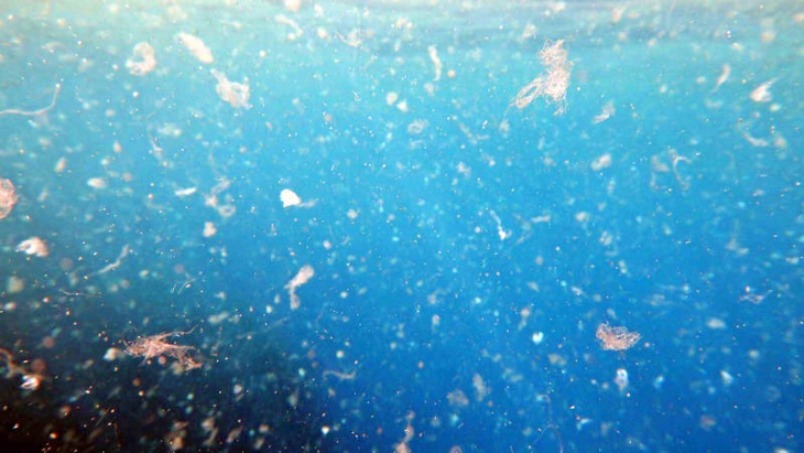 Brutal invasión de microplásticos en el Triángulo de las Bermudas
