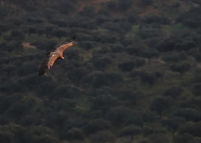 Actuaciones de desarrollo sostenible en la Reserva de la Biosfera de Monfragüe