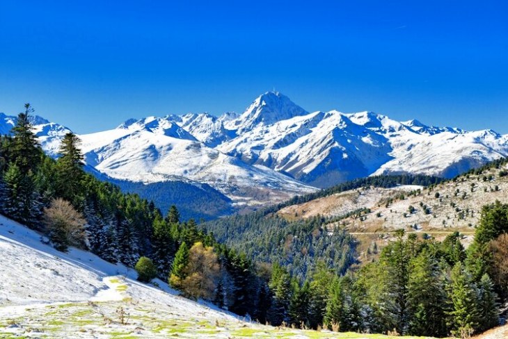 Guía Biodiversidad en riesgo