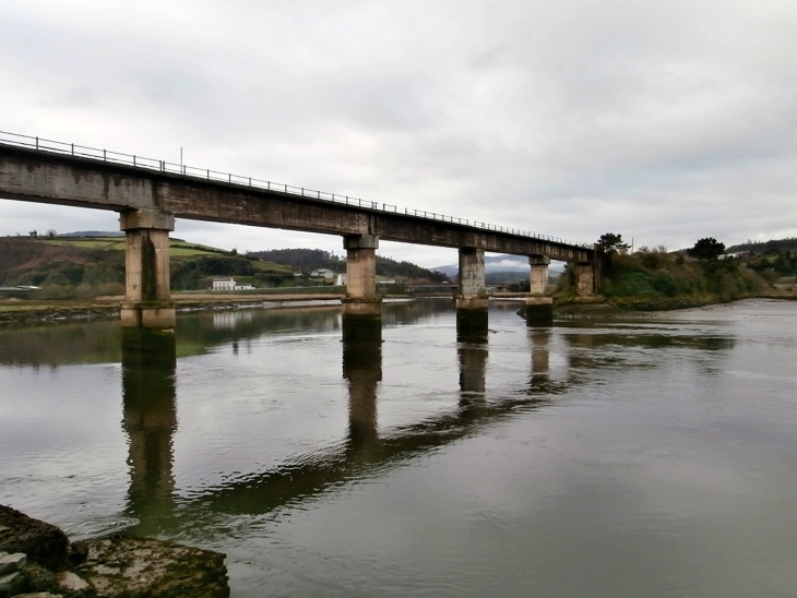 El Gobierno asturiano permite que el salmón y la trucha vayan camino de desaparecer