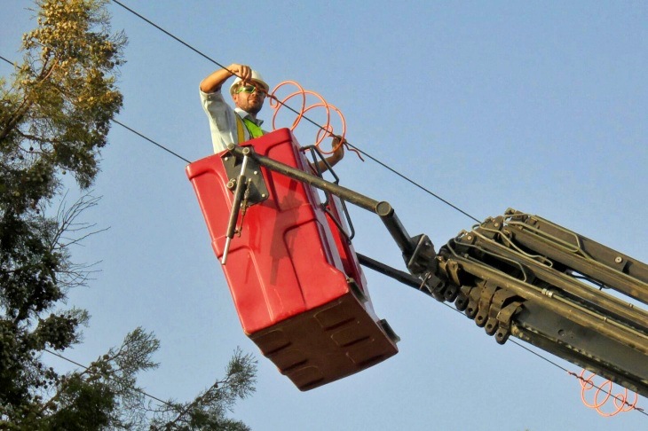 Cartagena. Más protección para la avifauna de las lagunas de Cabezo Beaza