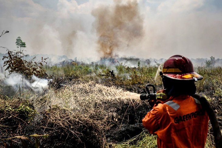 Los extraños incendios de la selva de Indonesia