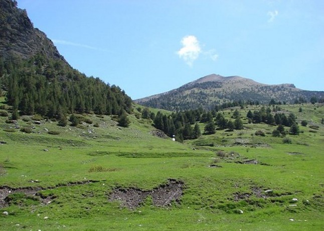 Ayer y hoy de la educación ambiental