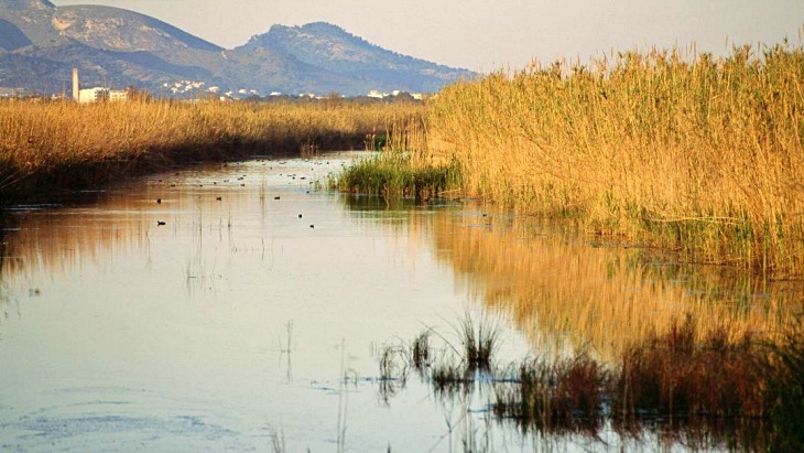 1er inventario de humedales en Baleares