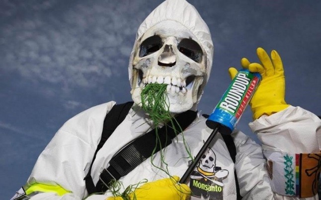 ¡ Qué mala noticia la fusión entre Bayer y Monsanto ¡