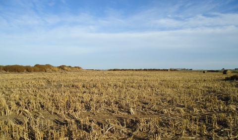 Nuevas (y alarmantes) pruebas del cambio climático