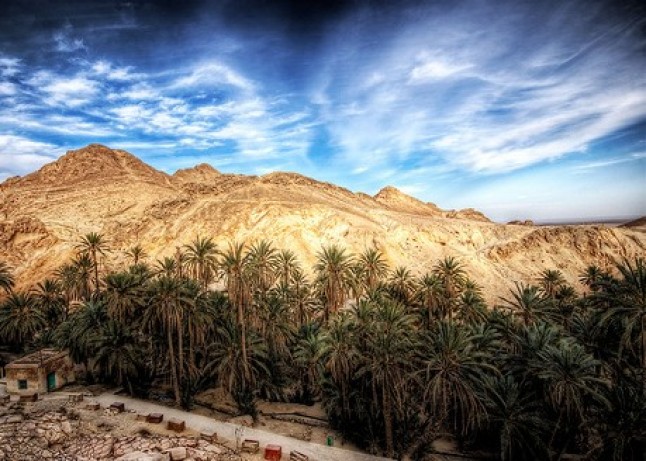 Renovables para el Sahara’