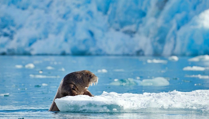 La crisis climática afecta extraordinariamente a los océanos