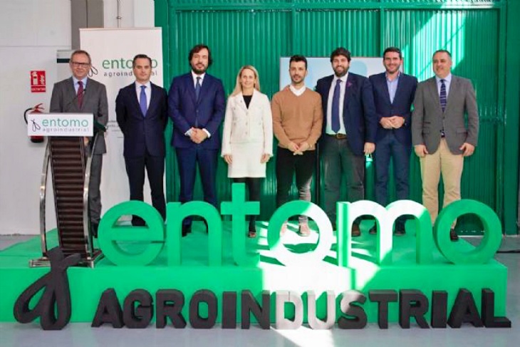 Moscas Negras Soldado como bioconversores de residuos