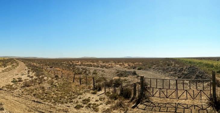 Cádiz. El PGOU de Trebujena es nulo al no haberse sometido a la preceptiva Evaluación Ambiental Estratégica