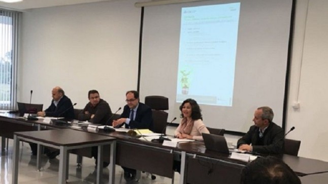 Diputación de Cádiz resalta las oportunidades de empleo de energías verdes en una jornada sobre el Proyecto ZEWKlima