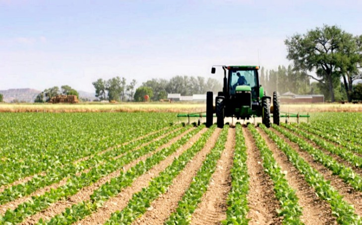 La ‘increíble’ incompetencia del desarrollo rural y biodiversidad por las CCAA