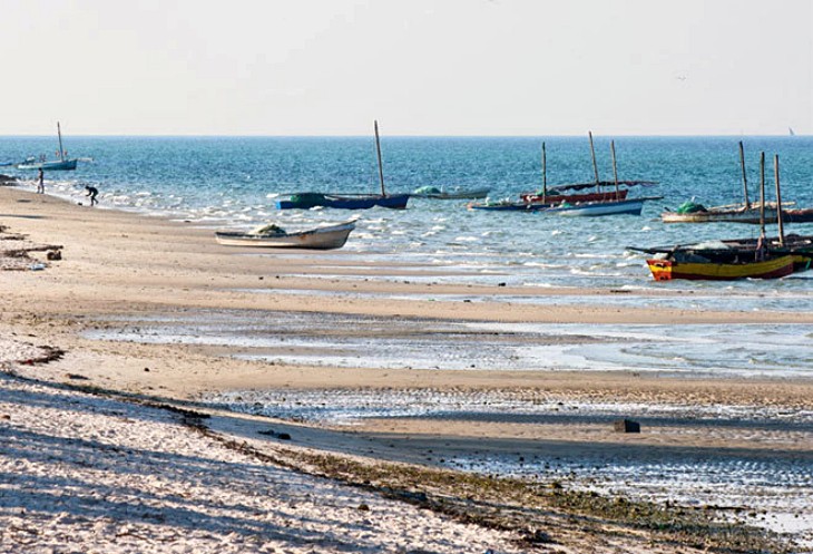 El lodo costero tiene una gran capacidad de empeorar el cambio climático