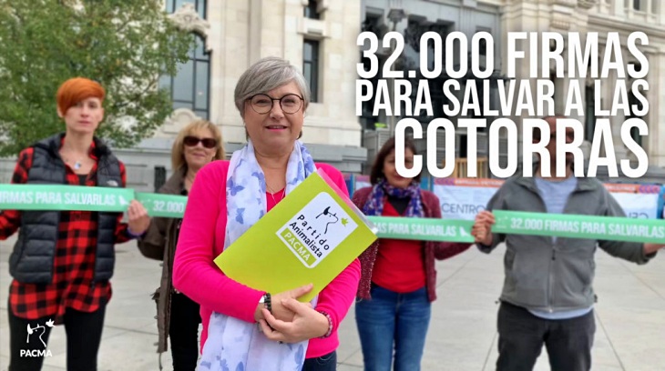 PACMA recaba más 30.000 firmas contra la matanza de cotorras en Madrid