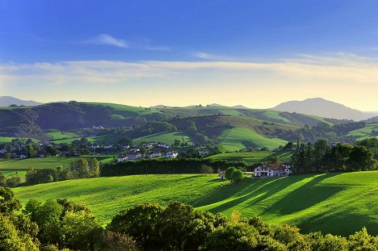Premio ‘Fomenta la Bioenergía 2019’ para  el Ente Vasco de la Energía