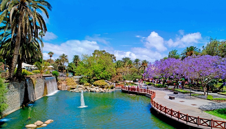 Nueva ruta turística botánica para promocionar el patrimonio vegetal de Las Palmas (Gran Canaria)