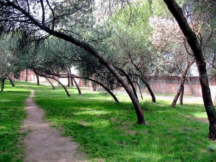 Madrid apuesta por la biodiversidad y sostenibilidad en el parque Paseo Ermita-Villa Adriana de Moncloa-Aravaca