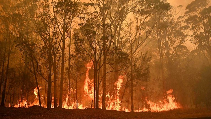 Rafa Nadal y Novak Djokovic se solidarizan con la biodiversidad de Australia