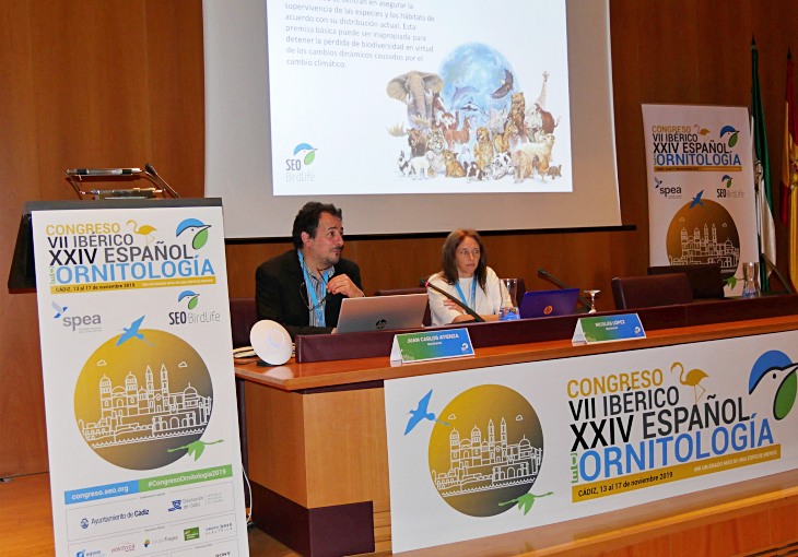 El programa Migra desvela las rutas migratorias y zonas de invernada del petrel de Bulwer