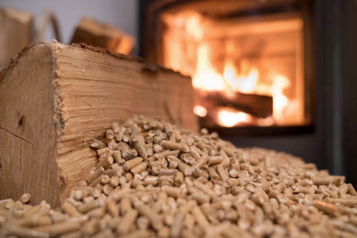 I Conferencia Internacional del Mercado del Pellet Doméstico (CIMEP)