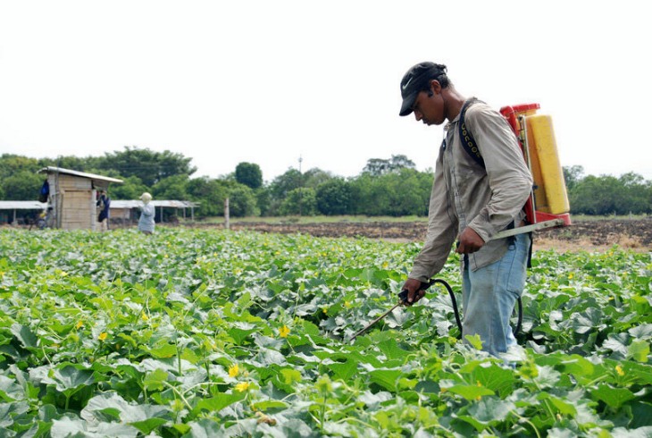 Los plaguicidas en Colombia