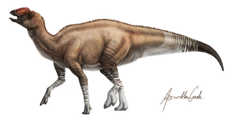 Hallan una nueva especie de dinosaurio