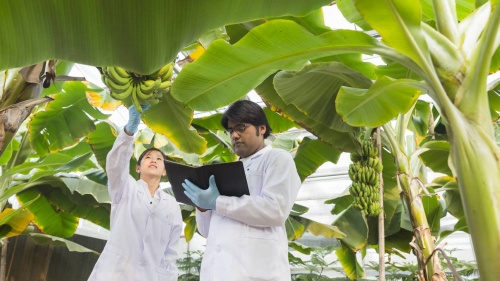La prueba de que la actividad humana ha alterado el medio ambiente