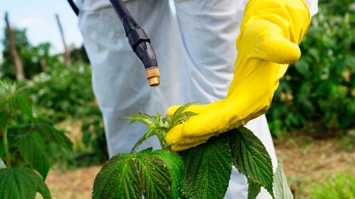 España se alinea descaradamente con el lobby que comercializa tóxicos agrícolas