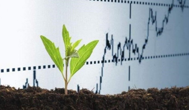 Medio Ambiente anima al sector agroalimentario a avanzar en la economía baja en carbono