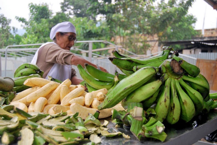 Reunión en Ecuador para abordar un plan contra la plaga que afecta al plátano