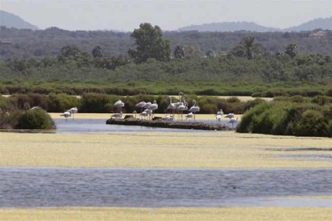 Nuevas plazas para la vigilancia de espacios naturales en Baleares