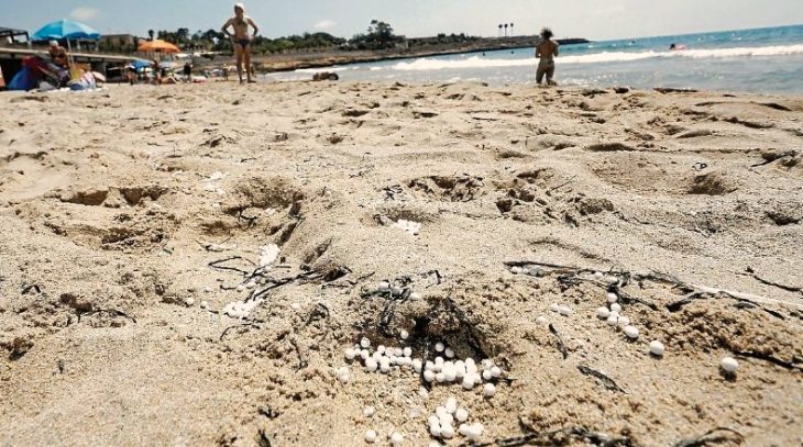 Mediterrània denuncia al Seprona las esferas de origen desconocido aparecidas en la playa del Miracle de Tarragona