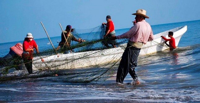 Europa puede y debe preservar la pesca artesanal frente a la acuicultura industrial