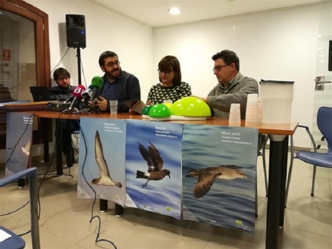 Fondos para la protección de aves marinas de Baleares