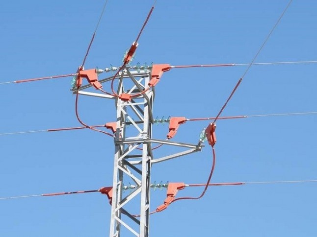 Endesa instala protecciones para la avifauna en líneas eléctricas de la provincia de Tarragona