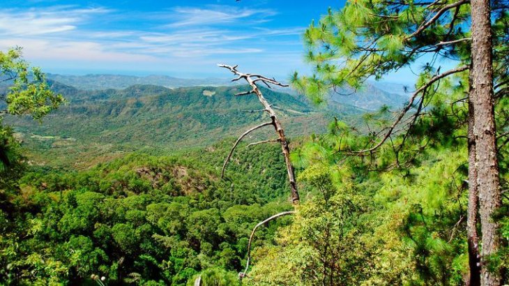 Se incrementa el gasto nacional en protección ambiental