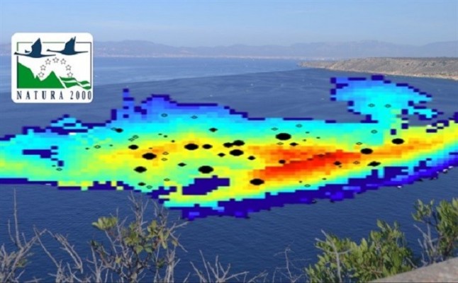 Imedea impulsa dos proyectos para monitorear actividades recreativas en reservas marinas y estimar la talla de los peces