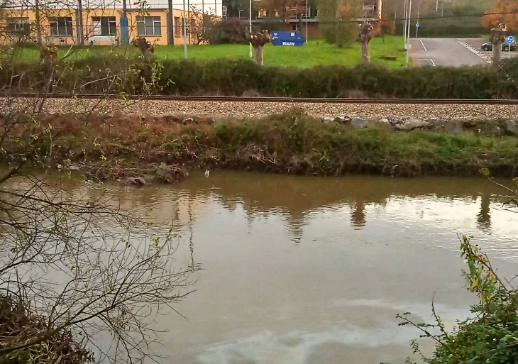 Asturias. Nuevos vertidos industriales a la Ría de Avilés