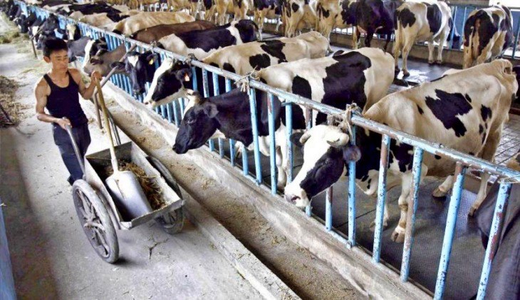 Reducir la deforestación y minimizar el consumo de carne ‘claves’ para paliar la crisis climática y de biodiversidad